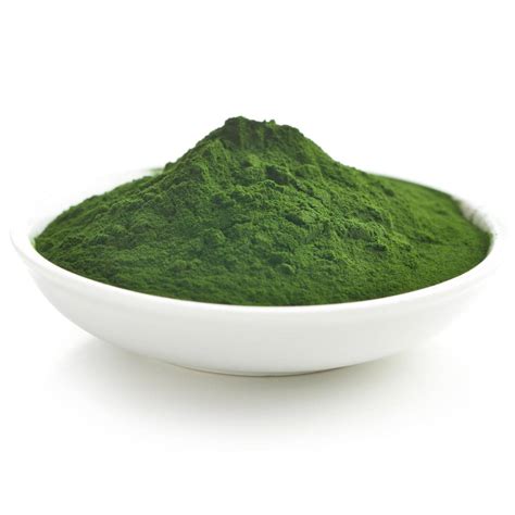 Chlorella Seaweed Powder 200µm - Chlorella Vulgaris Sp.