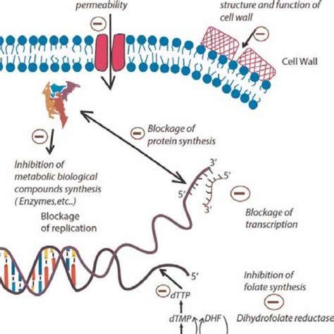 (PDF) Antimicrobials, Antibiotic Resistance, Antibiofilm Strategies and Activity Methods Edited ...