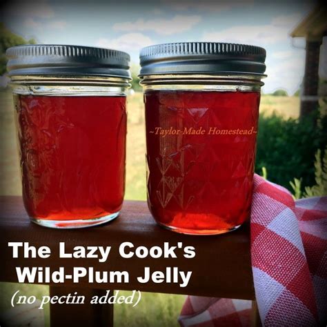 Wild Plum Jelly Recipe, No Pectin Needed! | ~ Texas Homesteader | Recipe | Plum jelly, Plum ...