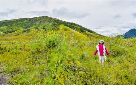 Pesona Indonesia, Perjalanan Menuju Bukit Teletubies Bromo - TagarPedia