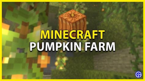 Pumpkin Seeds Minecraft – Telegraph