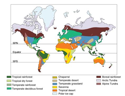 Terrestrial Biomes ‹ OpenCurriculum