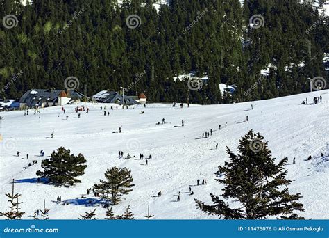 Uludag Mountain View. Uludag Mountain is Ski Resort of Turkey Stock ...