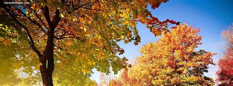 Fall Color Changing Leaves Facebook Cover | Fall facebook cover photos, Fall facebook cover ...