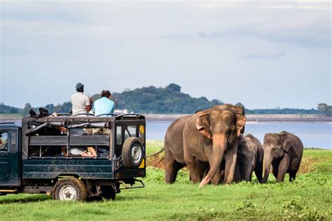 Crisis-Ridden Sri Lanka Tourism Aims to Regain Momentum