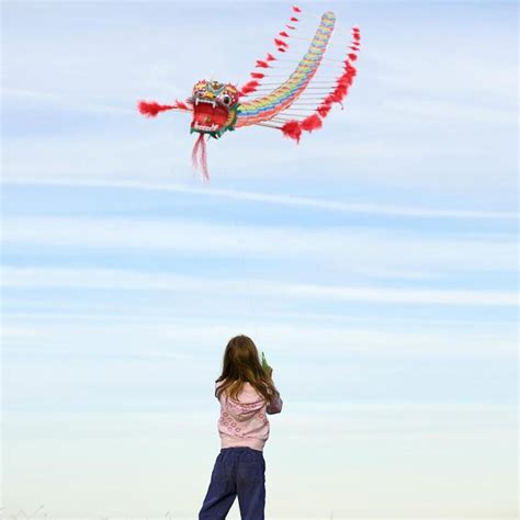 Traditional Chinese Dragon Kite | Dragon Vibe