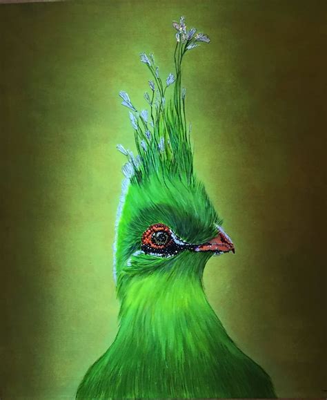 Turaco Bird - Etsy