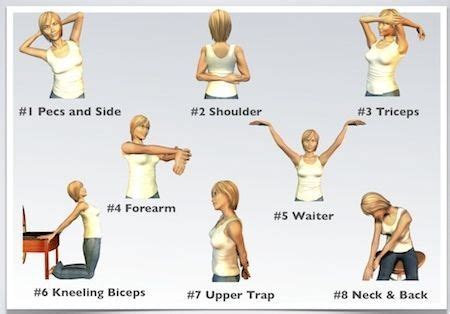 scapular strengthening yoga - Google Search | Shoulder stretching exercises, Stretching ...