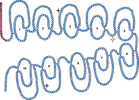 Factor XIII: A Coagulation Factor With Multiple Plasmatic and Cellular Functions | Physiological ...