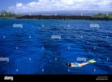 Snorkeling at Coast of Hawaii, Kona, Big Island, Hawaii, USA Stock ...