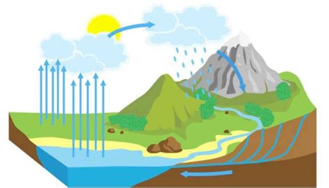 Qué es el ciclo del agua. Esquema y explicación