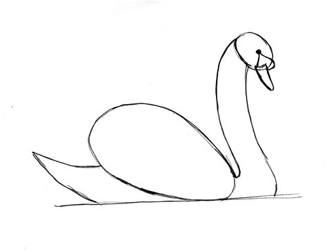 Swan Drawing Step by Step | Art Starts