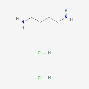 Putrescine Dihydrochloride - ZELLX®