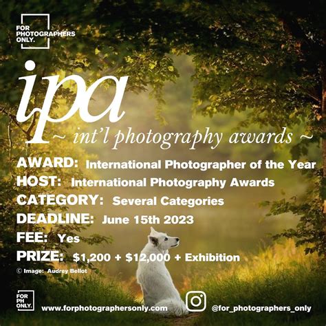 The International Photographer of the Year