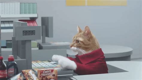 Cat Working GIF by Romy - Find & Share on GIPHY