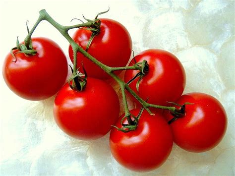 CAMPARI TOMATO, sweet vine tomatoes exotic fruit vegetables plant seed -25 SEEDS - Plants ...