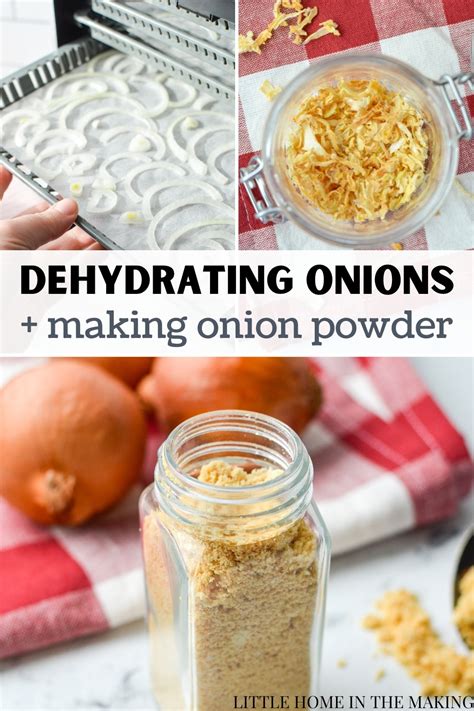 Dehydrating Onions (Complete Guide) - Little Home in the Making