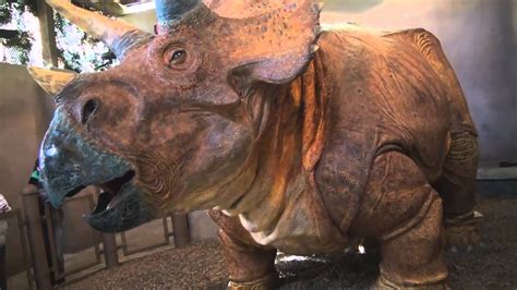 Triceratops Discovery Trail at Jurassic Park in Universal Islands of Adventure - YouTube