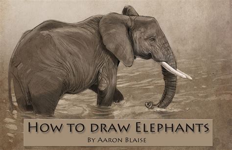 How To Draw Elephants - Tutorial & Lesson