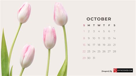 October 2023 Calendar Wallpapers - Top Free October 2023 Calendar Backgrounds - WallpaperAccess