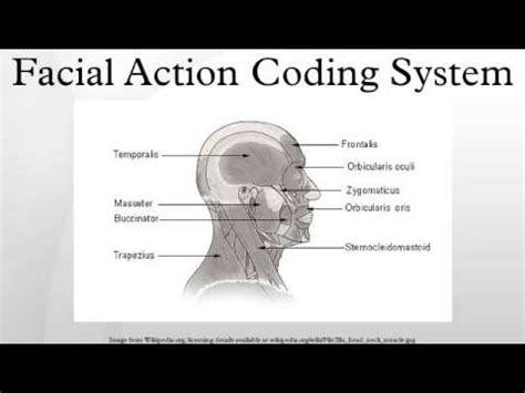 Facial Action Coding System - YouTube