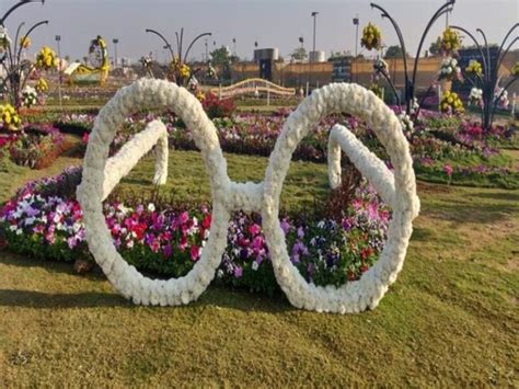 Must Visit Riverfront Flower Show Ahmedabad in 2023 - Dates, Tickets ...