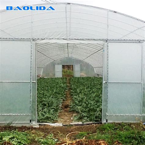 Single Span Polytunnel Greenhouse Kits Farming Small Or Large Size Optional