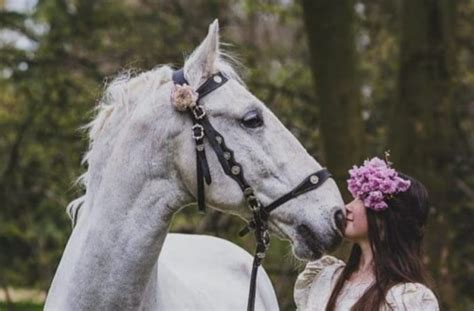 Home - White Horse Wedding Hire