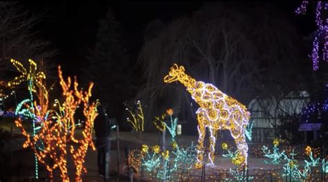 Garden of Lights at Brookside Gardens Opens on November 18 - The MoCo Show