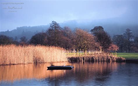 Boat to Nowhere | Seagull sitting on a wooden raft in the So… | Flickr