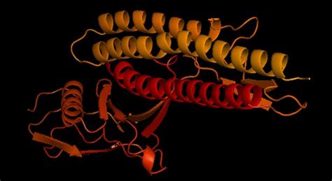 The final 3D structure model of fusion protein construct obtained by ...