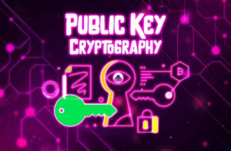 What Is Public Key Cryptography? Explained Simply (Infographics!)