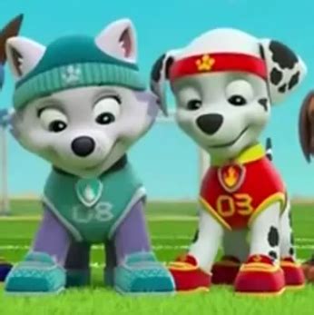 Marshall and Everest - PAW Patrol - Paw Patrol, Patrulla de Cachorros ...