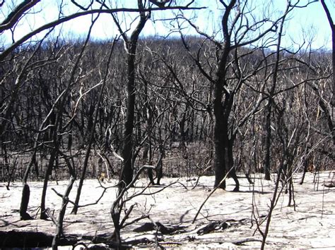 GRAMPIANS FIRE NEAR JIMMYS CREEK | Photo by gerard | deb herd | Flickr