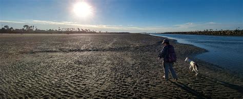 Dog Beach | Ocean Beach San Diego CA