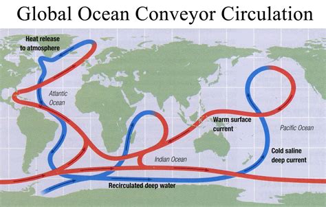 thermohaline circulation belt | conveyor driven by cooling of salty ...