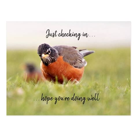 Hello--Just Checking In Postcard | Zazzle.com