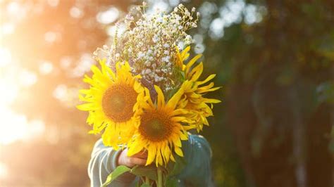 Por qué se regalan flores amarillas el Día de la Primavera | Infocielo