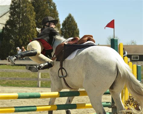 File:Horse Jumping almost.jpg - Wikimedia Commons