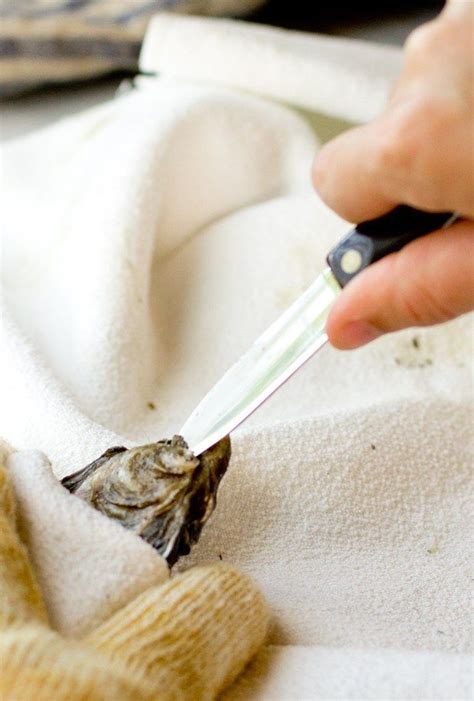 How to Shuck Oysters | Grilled oysters, Oysters, Shucking oysters