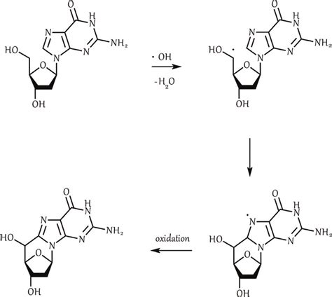 Reaction of hydroxyl radical with sugar [8]. | Download Scientific Diagram