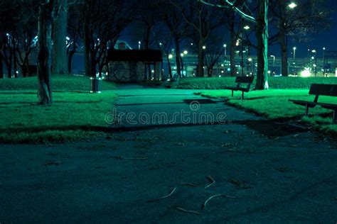 Spooky park at night stock image. Image of landscape - 98409197