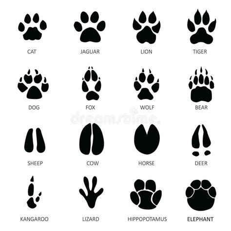 Resultado de imagem para fox footprints | Animal footprints, Pawprint tattoo, Paw tattoo