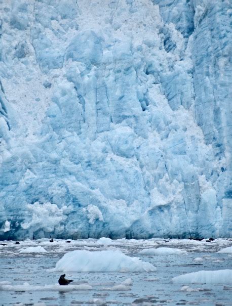 What Are the Consequences of Glacial Melting? | Earth.Org