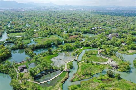 Scenery of Xixi National Wetland Park in Hangzhou - China.org.cn