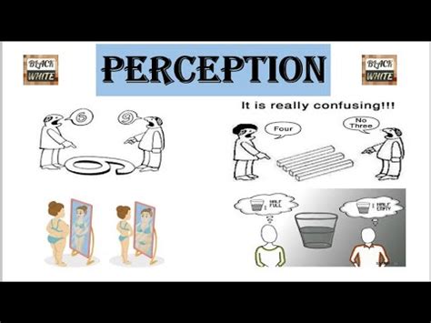 Perception Synonym