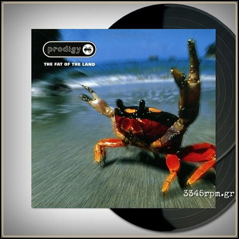 Prodigy - The Fat Of The Land - Vinyl 2LP Prodigy - The Fat Of The Land