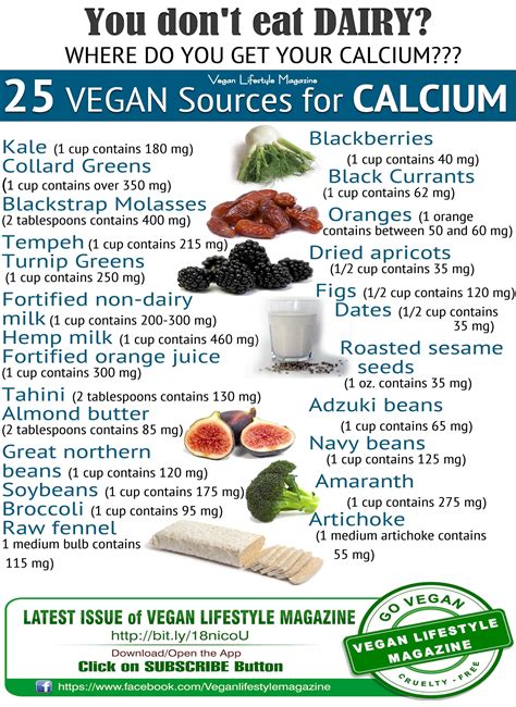 Calcium Diet For Pregnancy – Idalias Salon