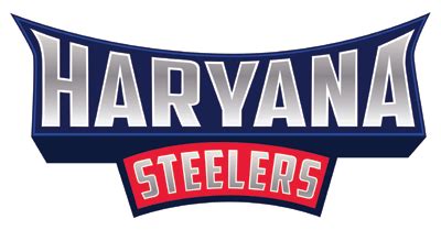 JSW Sports announces Pro Kabaddi team, Haryana Steelers – APN News