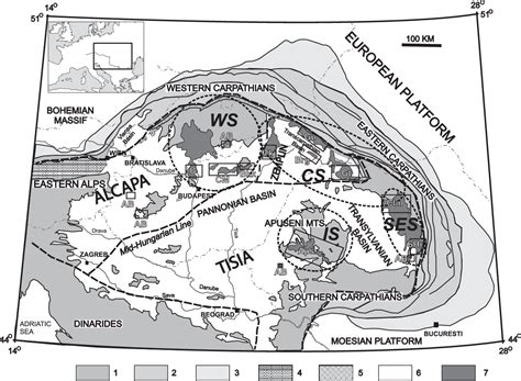 quaternary ammonium group transport | Semantic Scholar